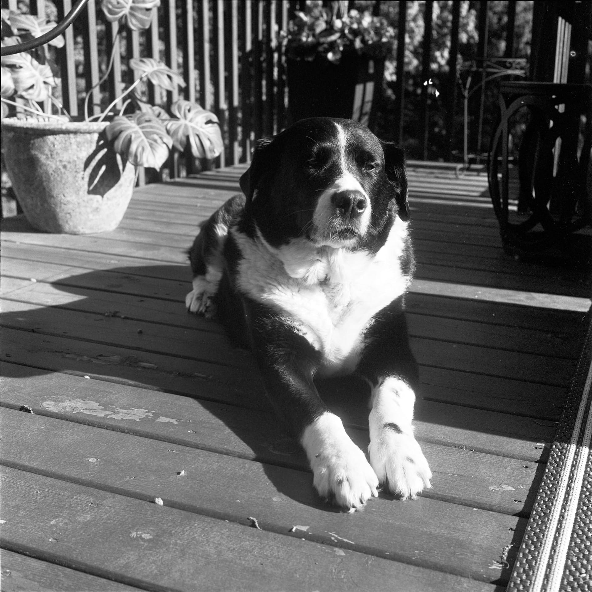 Roll 216 (Rolleiflex 2.8D)