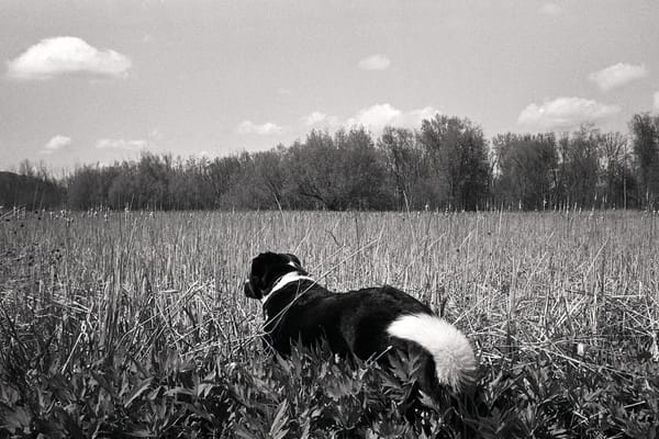 2025 Roll 33 (Stylus Epic/HP5)