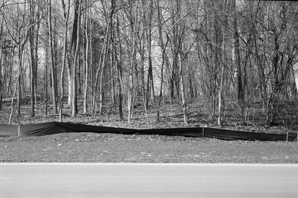 Fence and road