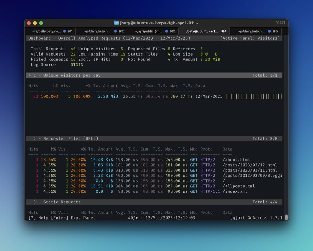 GoAccess in a terminal on the server