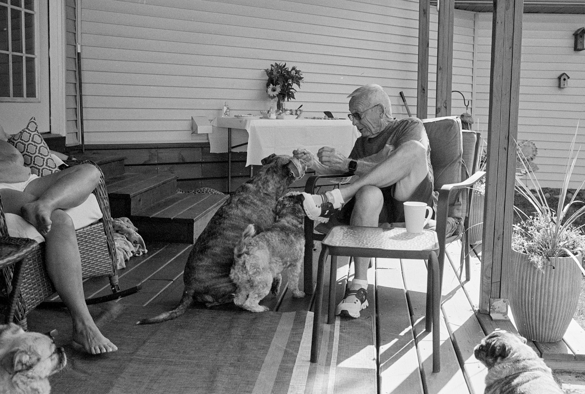 Dad feeding dogs