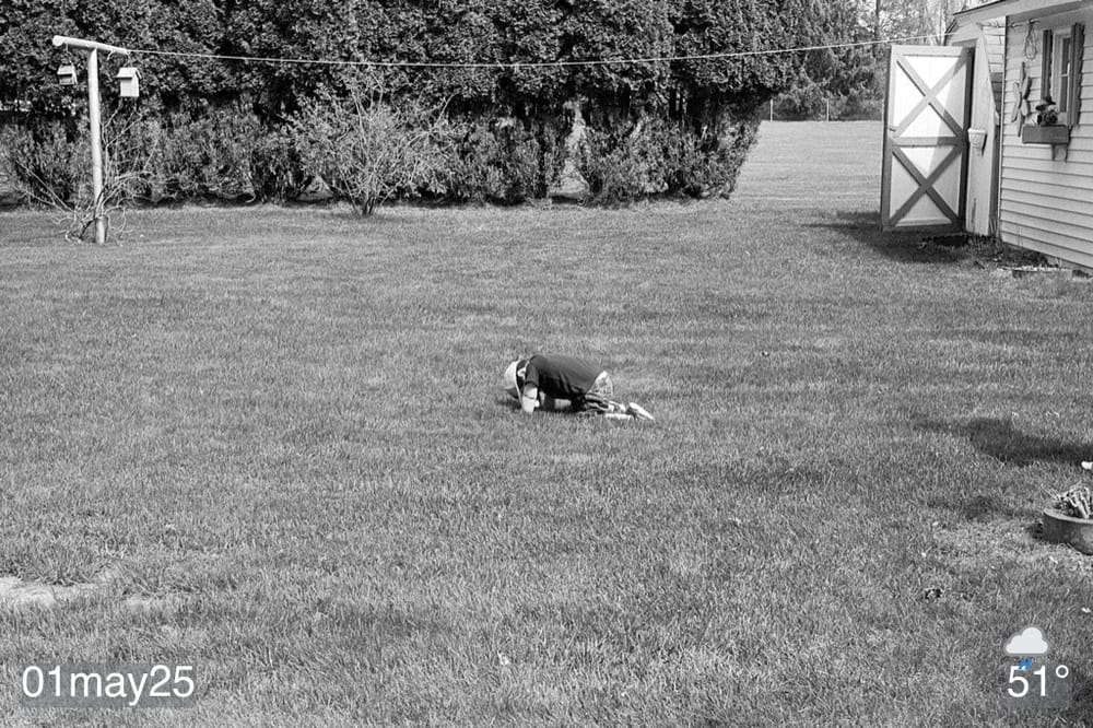 Black and white film photo of my grandson on hands and knees in grassy yard