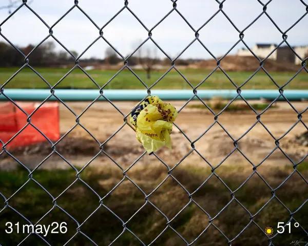 Fast food wrapper stuck in chain link fence