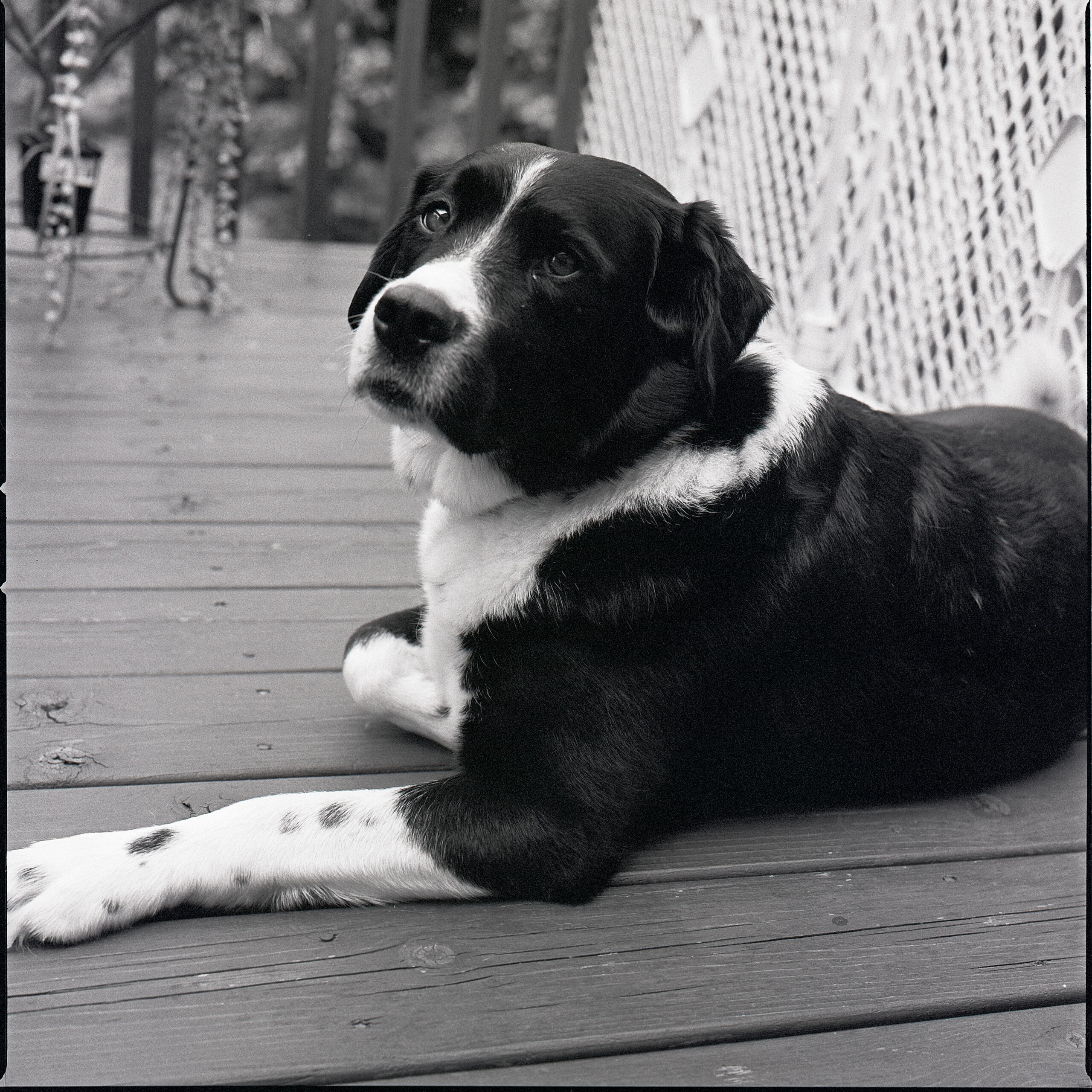 Alice (2021). Hasselblad 500C/M. Zeiss Planar 80mm f2.8. Tri-X