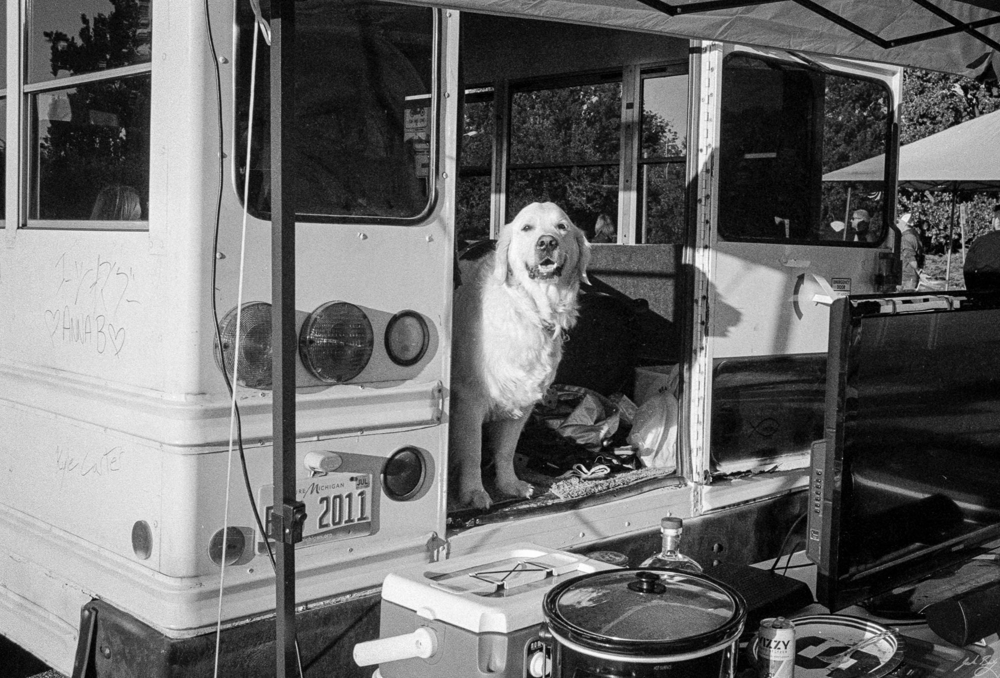 Golden looking out back of party bus. (Leica MP. Summicron-M 35mm ASPH)