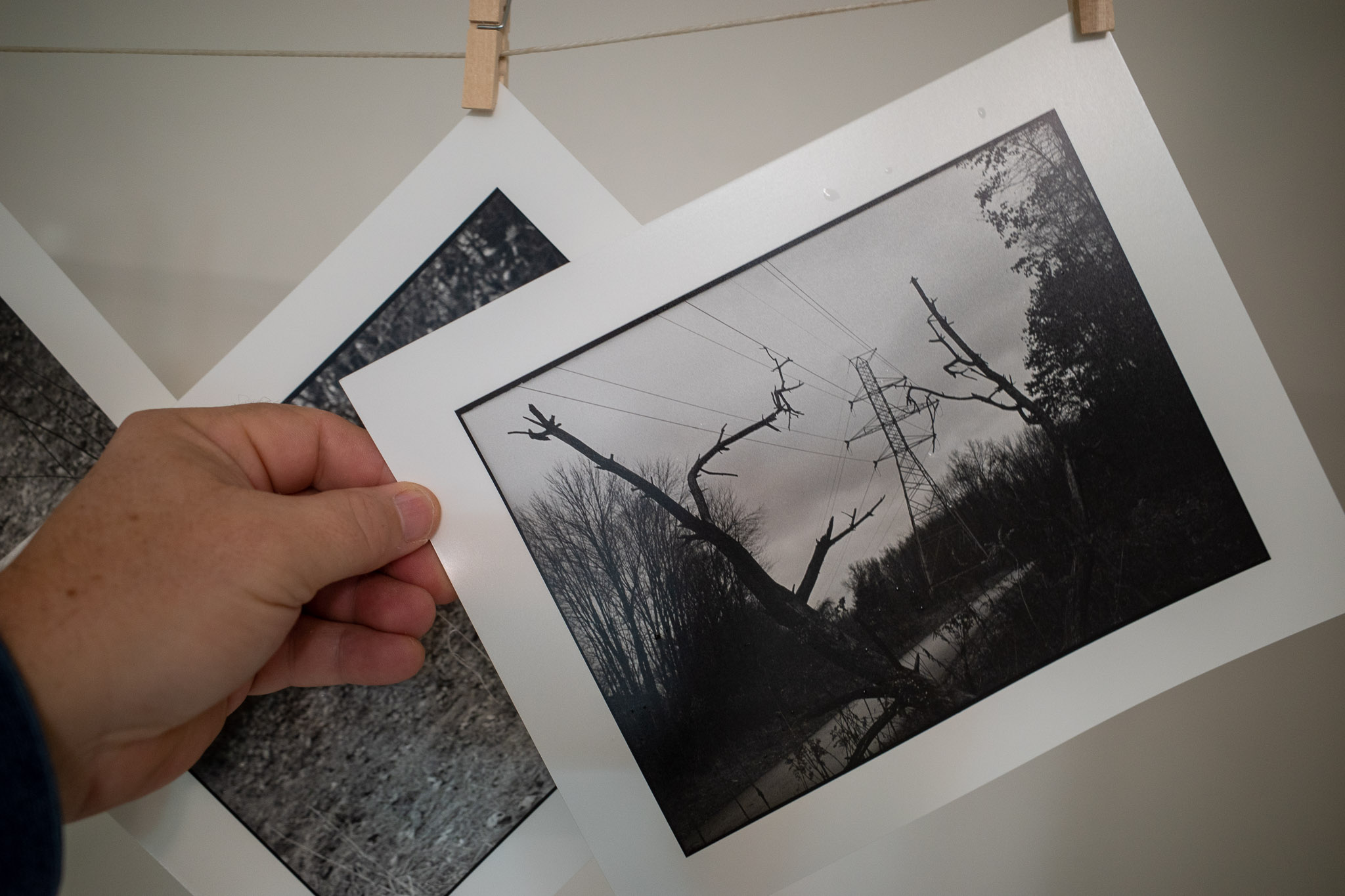 Darkroom print hanging to dry