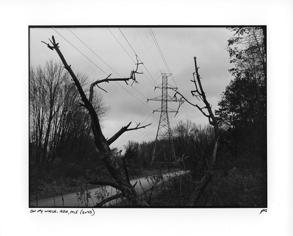 Scanned black and white darkroom print of power tower and tree branches