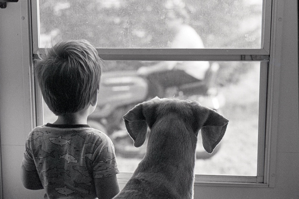 Black and white film photo of boy and dog watching out screen door
