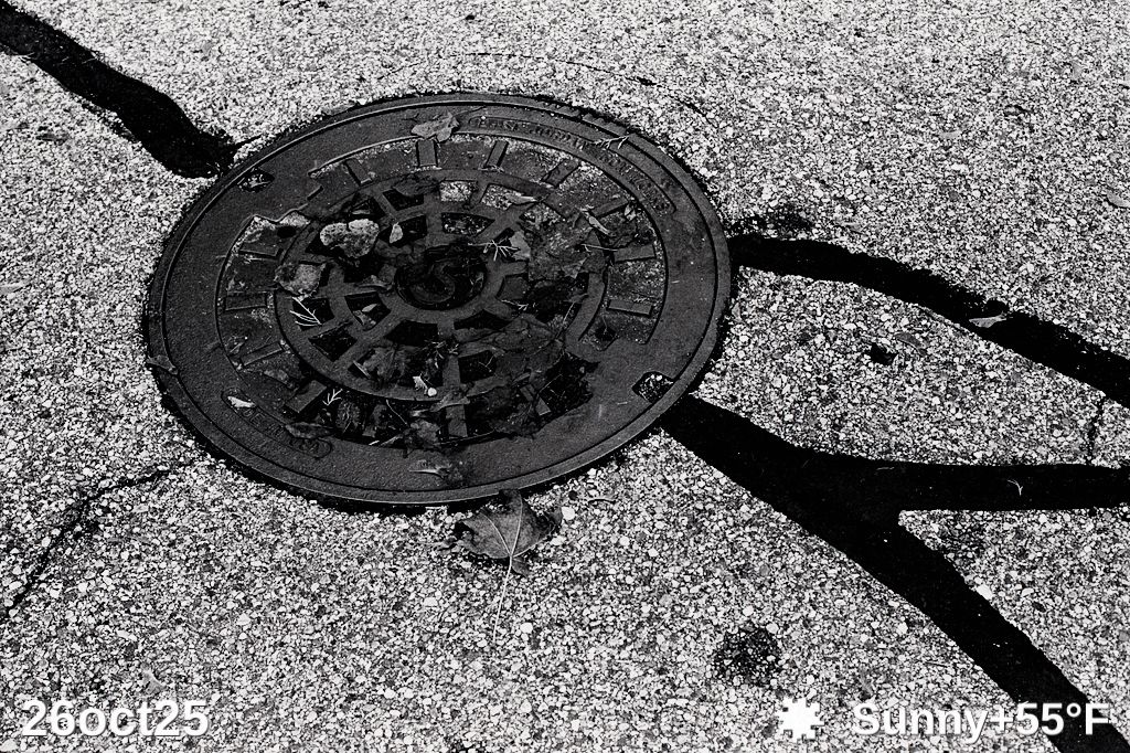 Black and white film photo of a sewer cover