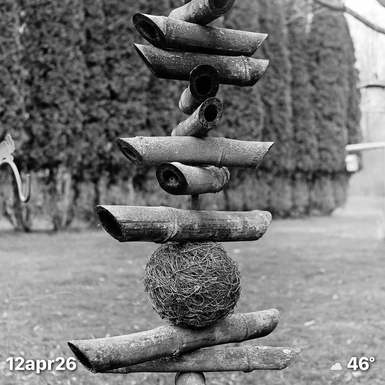 Black and White film photo of bamboo sculpture