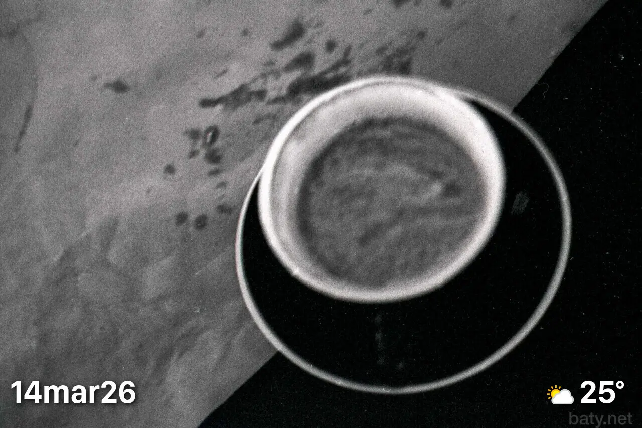 Black and white photo of coffee cup on table