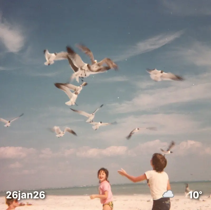 Kids feeding seagulls