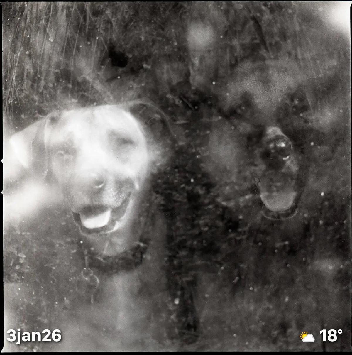 Saturday, January 03, 2026