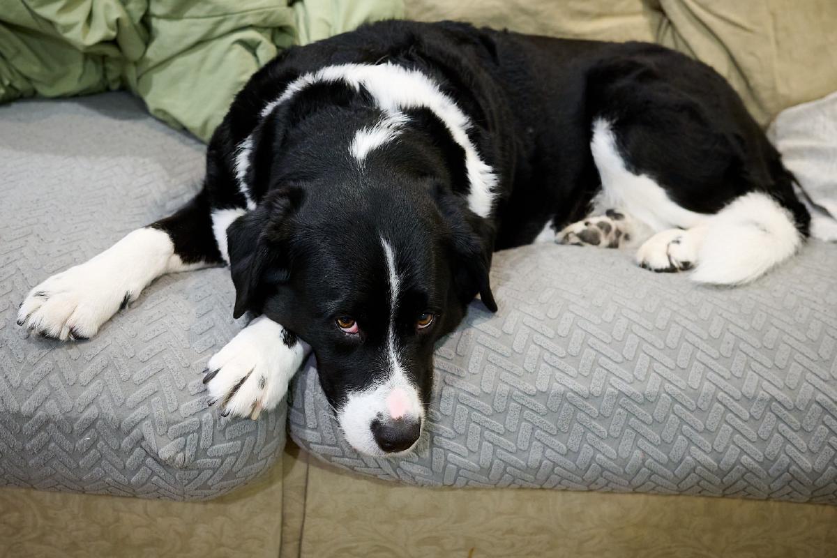 Friday, March 07, 2025