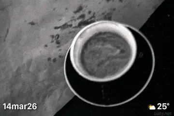 Black and white photo of coffee cup on table