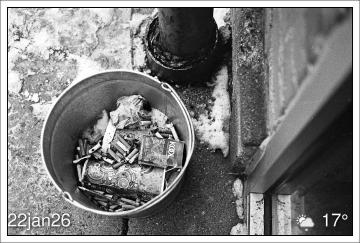 Butts. Leica M6TTL / Tri-X in Diafine