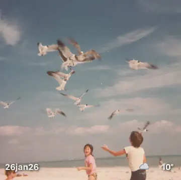Kids feeding seagulls
