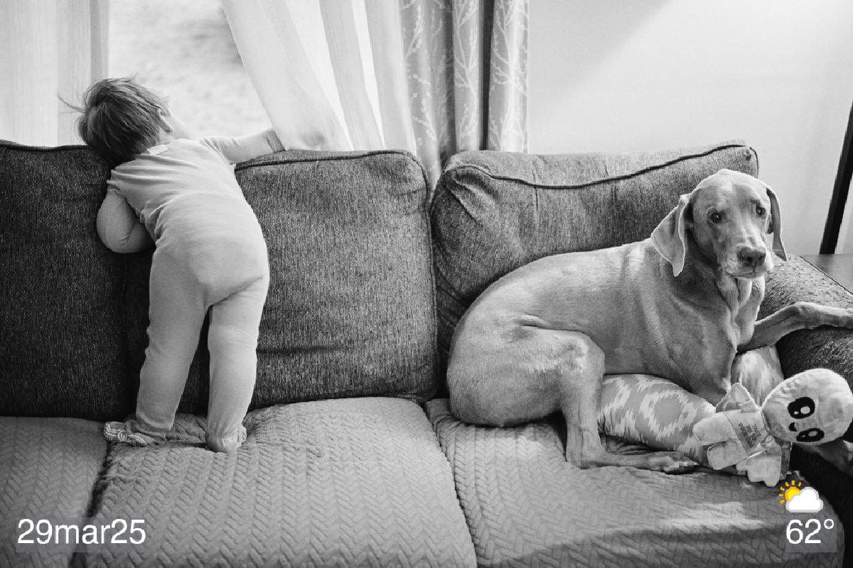 Saturday, March 29, 2025