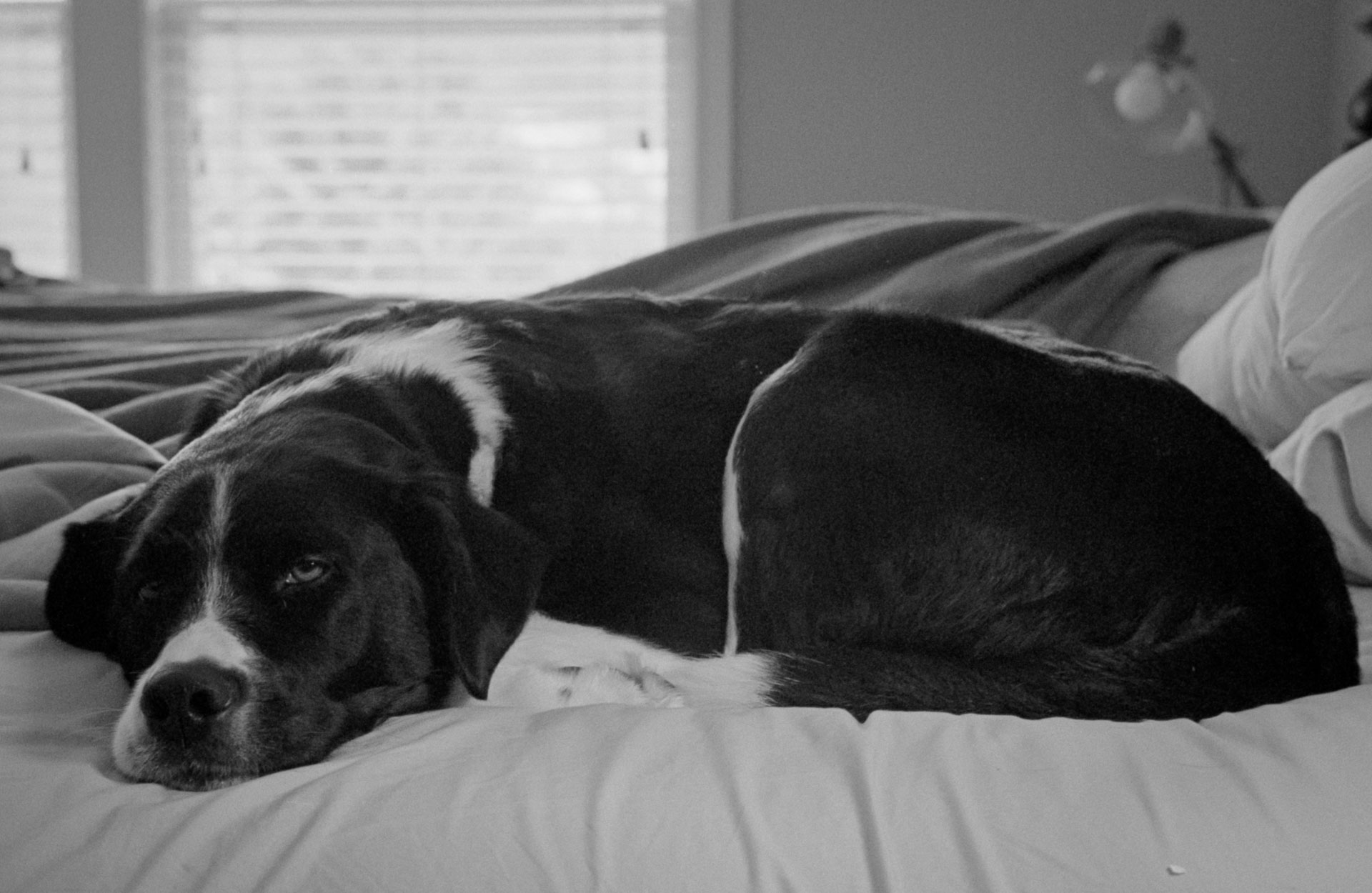 Alice chilling (2021)