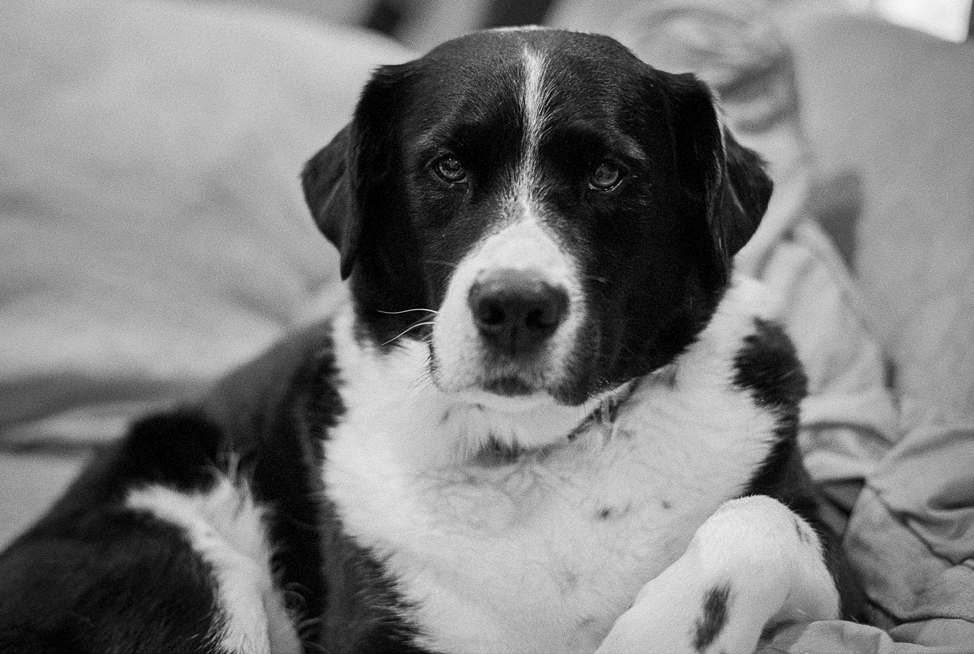 You woke me for this?