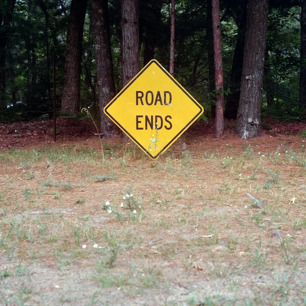 Street sign reading Road Ends in front of trees