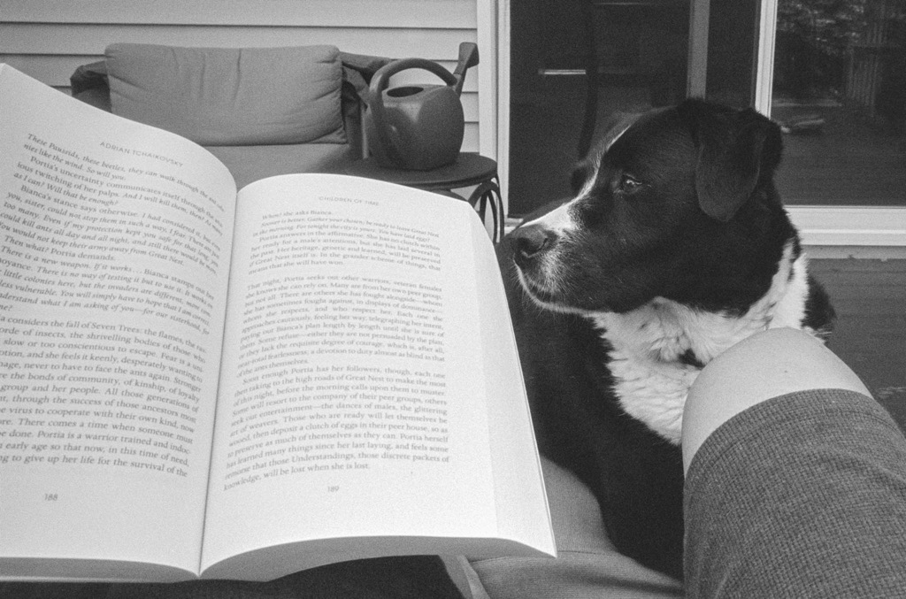 Black and white photo of book with dog in background