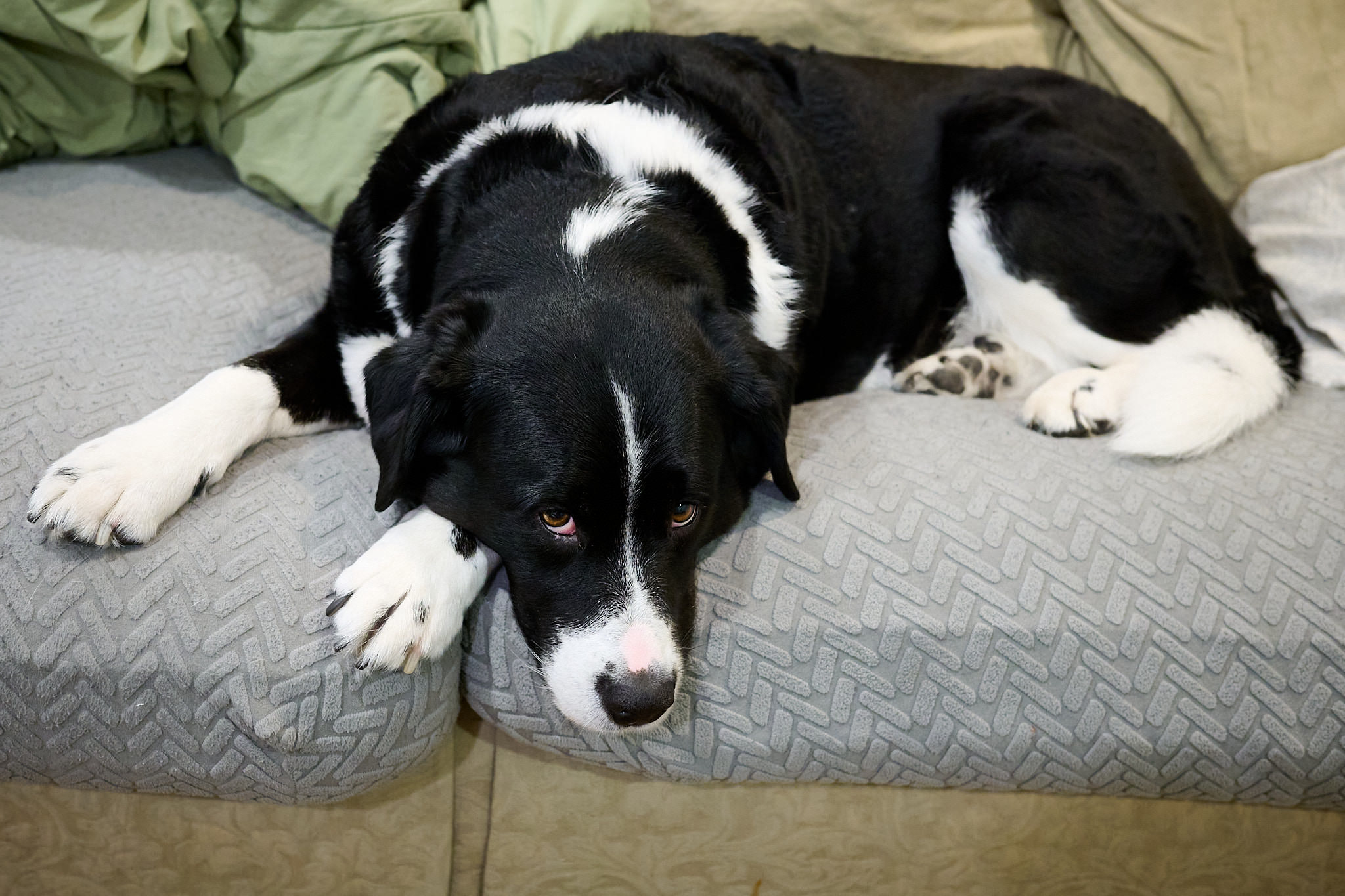 Alice says, 'whatever'