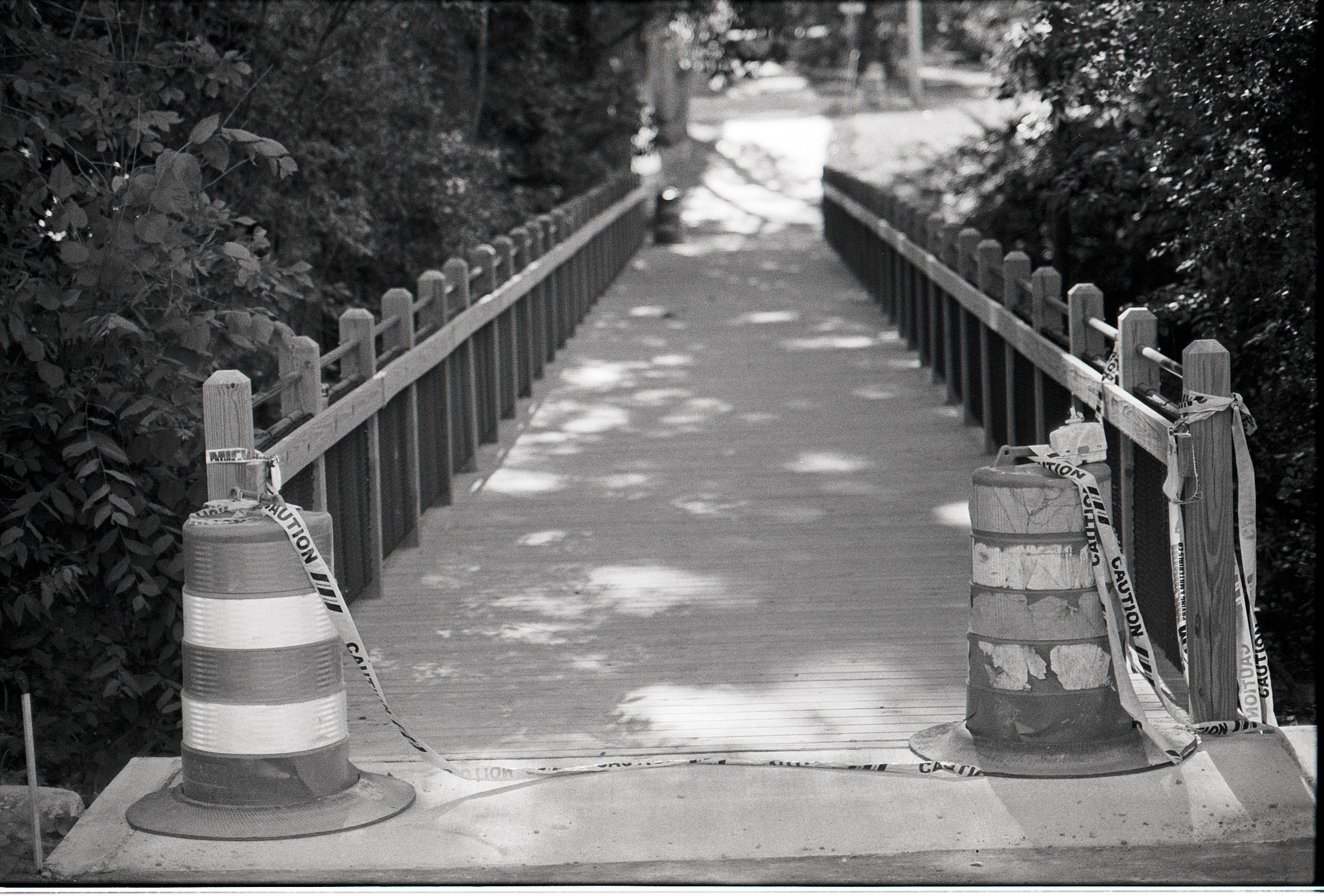 Bridge. OM-2n. HP5 Plus