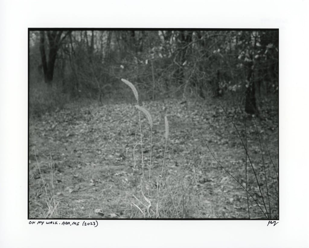 On my walk. Ada, MI Silver Gelatin print (Leica MP, HP5)