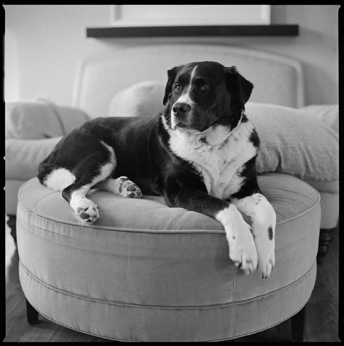 Roll 204 (Hasselblad 500C/M)