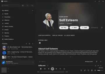 Screenshot of the feishin music player